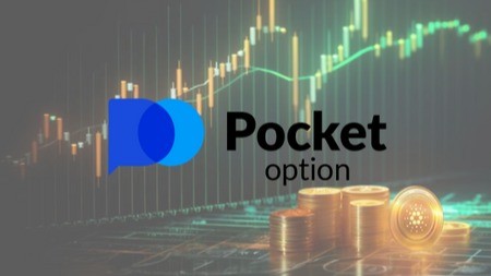 Pocket Option Terms and Conditions 20 Pocket Option Terms and Conditions 20