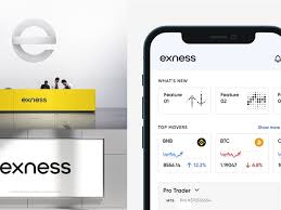 A Comprehensive Guide to Exness Mt4 Demo Account