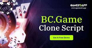 Comprehensive Guide to BC Game Support 3 Comprehensive Guide to BC Game Support 3