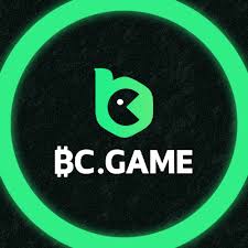 Descubre el mundo de BC Game el casino que está revolucionando el juego en línea