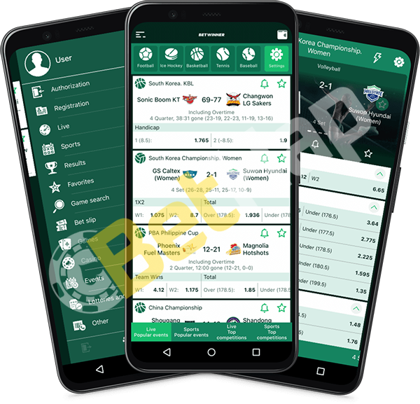 Everything You Need to Know About Betwinner Login 17 Everything You Need to Know About Betwinner Login 17