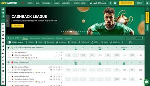 How to Successfully Complete Your BetWinner Registration 3 How to Successfully Complete Your BetWinner Registration 3