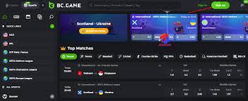 Exploring the BCGame Mirror A Comprehensive Guide Exploring the BCGame Mirror A Comprehensive Guide