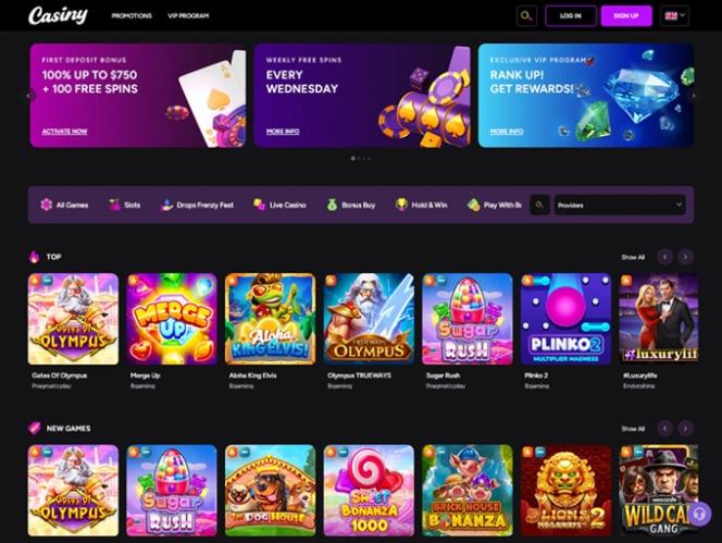 In-Depth Joe Fortune Casino Review A Gamers' Paradise