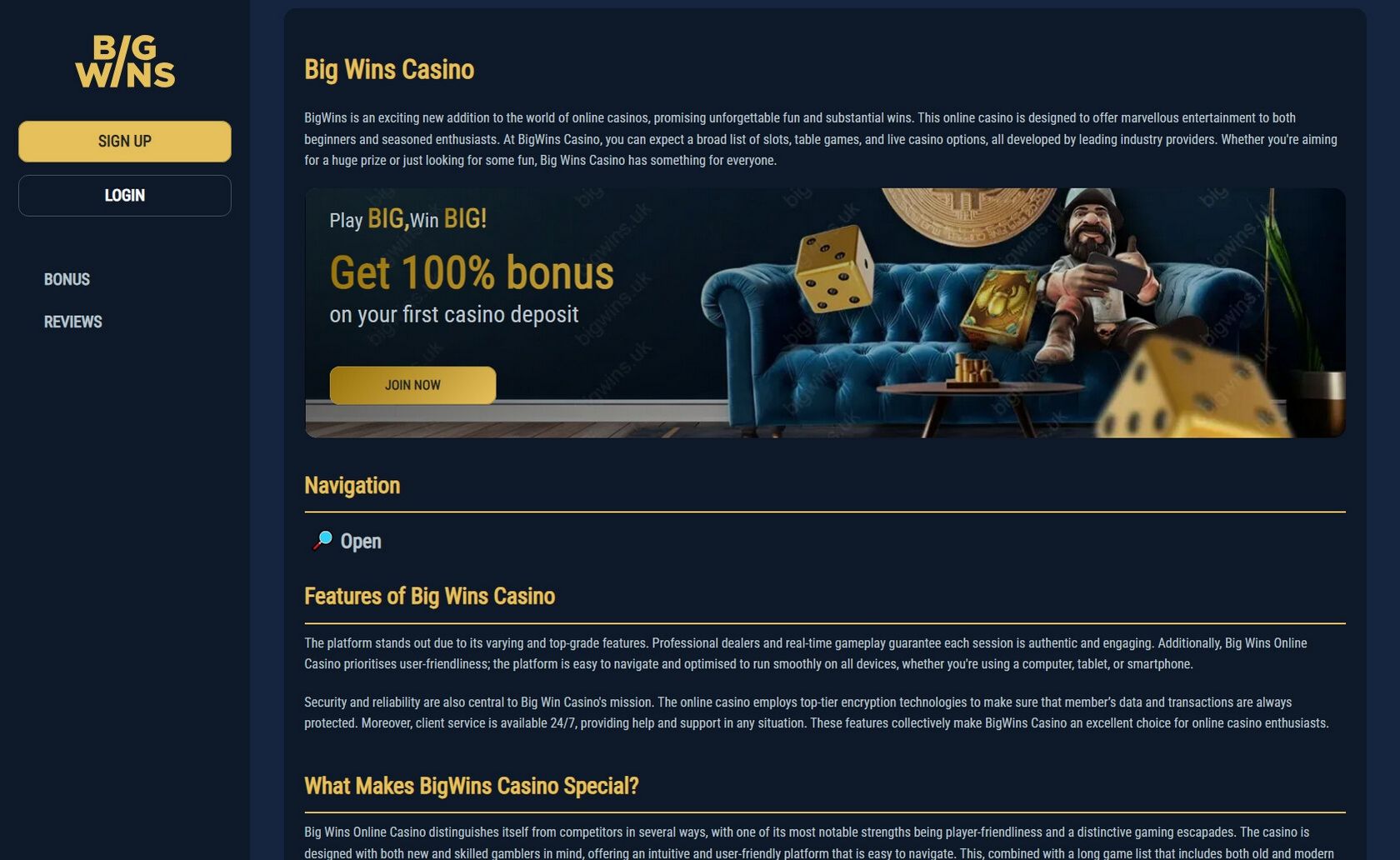 Big Wins Terms & Conditions
