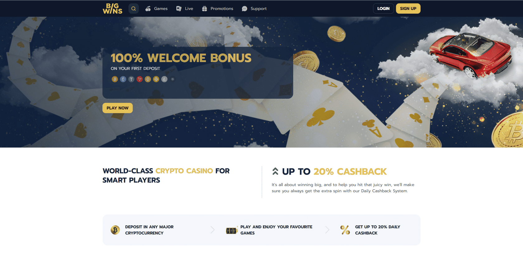 Entire Review bigwins.com